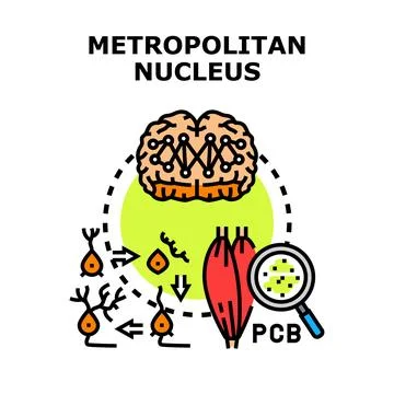 Metropolitan nucleus concept vector icon Illustrazione stock
