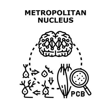 Metropolitan nucleus concept vector icon Illustrazione stock