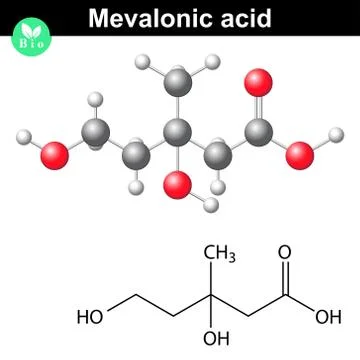 Mevalonic acid molecule Stock Illustration