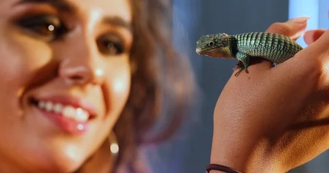 Mexican Alligator Lizard Held In Hand Looking At Girl And Vice Versa Stock Footage 107389691
