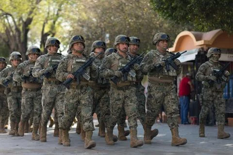 Mexican Armed Forces Foto stock