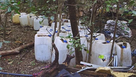 Mexican army raids a methamphetamine laboratory hidden in the jungle in Stock Footage 85125075