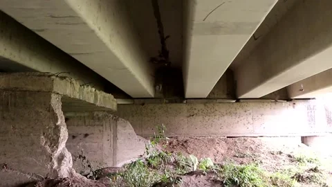 Mexican bats trying to rest under a bridge 스톡 동영상 139128095
