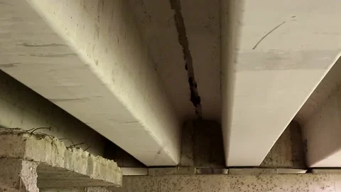Mexican bats trying to rest under a bridge Stock-Footage 139128107