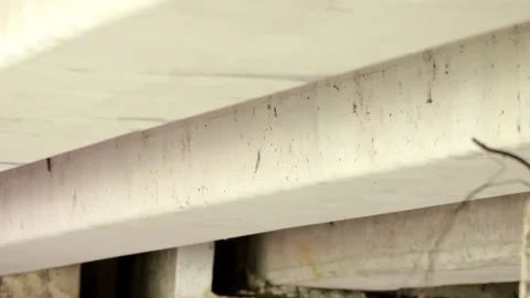 Mexican bats trying to rest under a bridge Stock-Footage 139128271