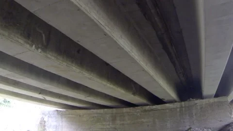 Mexican bats trying to rest under a bridge Video stock 139491274