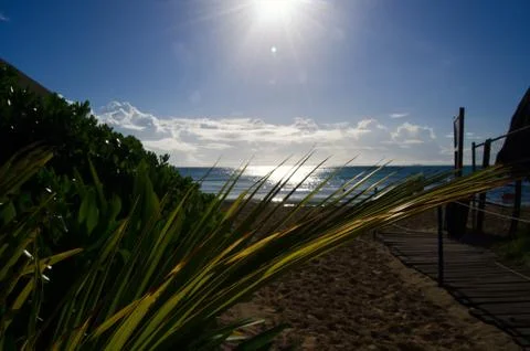 Mexican beach Stock Photos