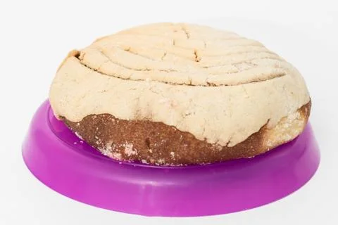 Mexican bread Concha Blanca. Stock Photos