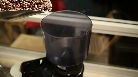 Mexican Coffee Grains Stock Footage 38351752