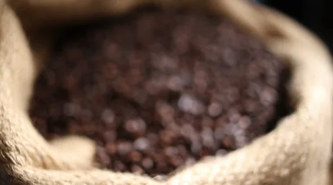 Mexican Coffee Grains Stock Footage 38351967