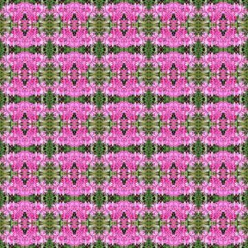 Mexican creeper seamless Stock Illustration