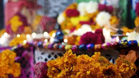 Mexican Day of the Dead Stock Footage 118169353
