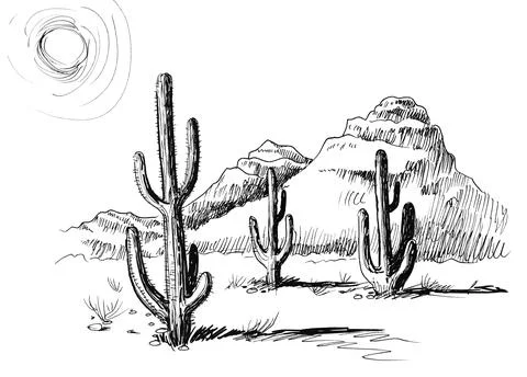 Mexican desert Stock Illustration