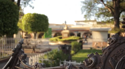 Mexican Emblem Stock Footage 47392184