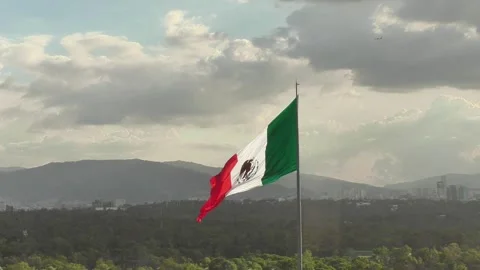 Mexican Flag with airliner in the back Stock Footage 284058764