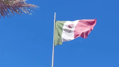 Mexican flag blowing in the wind Stock Footage 173582096
