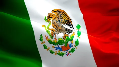 Mexican flag Closeup 1080p Full HD 1920X1080 footage video waving in wind. Stock Footage