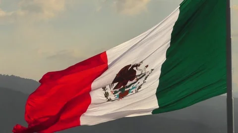 Mexican Flag closeup 2 Stock Footage 284056776