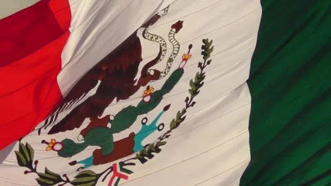 Mexican Flag closeup Stock Footage 284056531