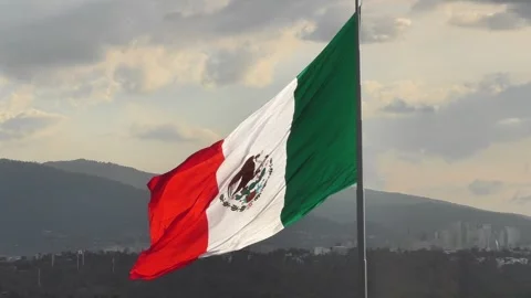Mexican Flag closup flying in the wind Stock Footage 284058141