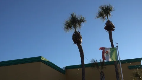 Mexican Flag Flying In Mexico In Front Of Building With Two Palm Trees Blowi Stock Footage 126425841