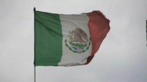 Mexican flag Stock Footage 695562