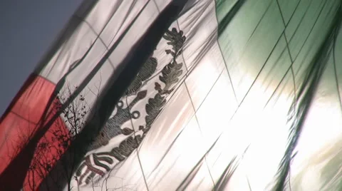 Mexican flag Video stock 3476488