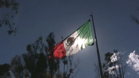 Mexican flag Stock-Footage 3476548