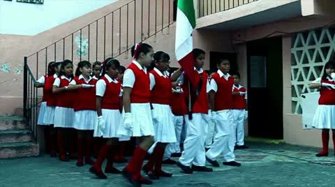 Mexican Flag Stock Footage 10668324