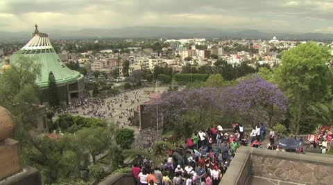 Mexican Flag Video stock 19292872