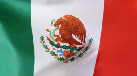 Mexican Flag Stock Footage 25267111