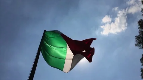 Mexican flag Video stock 84806554