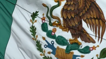 Mexican Flag 스톡 동영상 85532039