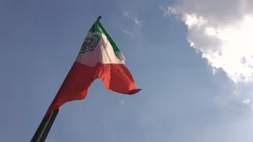 Mexican Flag Stock Footage 85584354