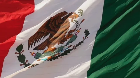 MEXICAN FLAG Stock Footage 115283397