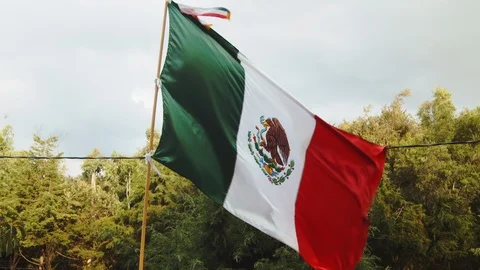 Mexican Flag 스톡 동영상 118494020