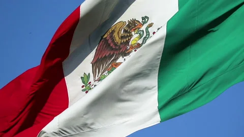 Mexican flag Stock Footage 122449055