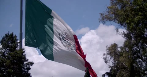 Mexican Flag Video stock 139241909