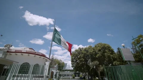 Mexican Flag Video stock 139242149
