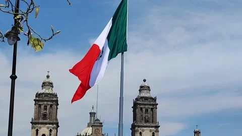 Mexican flag Stock Footage 171573829