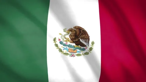 Mexican Flag  Stock Footage 188148295