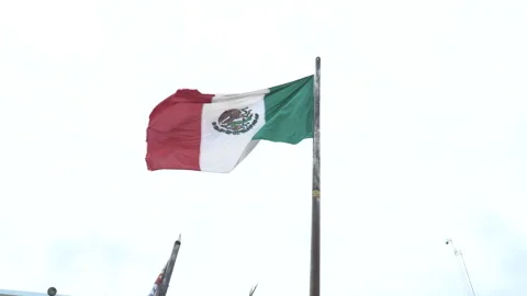 Mexican Flag Stock Footage 206535334