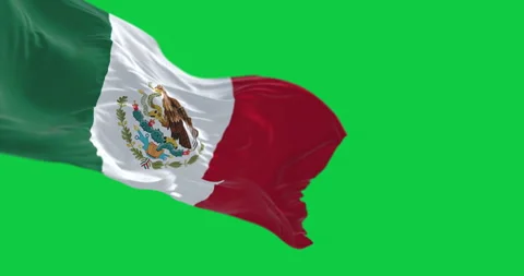 The Mexican flag with its coat of arms waving isolated on green background Stock Footage 316472822
