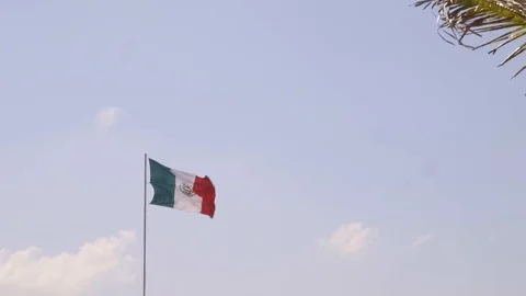 Mexican Flag SloMo Pan Stock Footage
