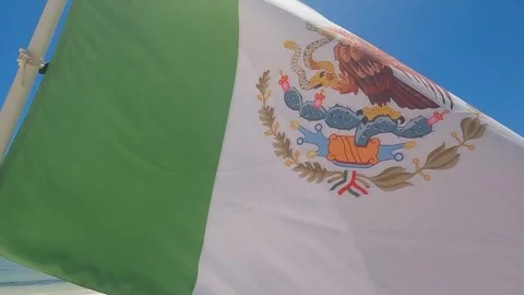 MEXICAN FLAG SLOMOTION Video stock 240411079