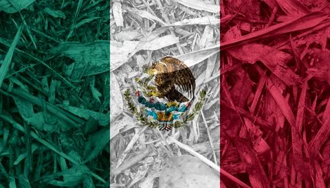 Mexican flag texture as a background Stock Photos