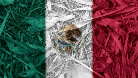 Mexican flag texture as a background 스톡 사진