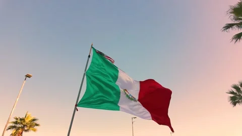 Mexican flag waves majestically symbolizing pride and national unity Stock Footage 324062838