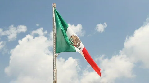 Mexican Flag Waving Stockbeeldmateriaal 768691