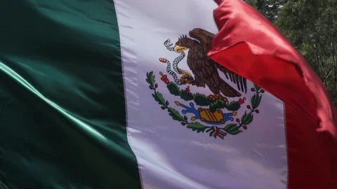 Mexican Flag waving Vídeo Stock 95856386
